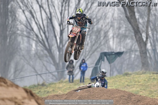 2019-02-10 Mantova - Internazionali di Motocross 18671 MX1 222 Antonio Cairoli
